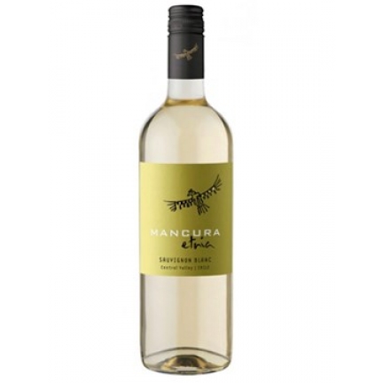 RƯỢU VANG MANCURA ETNIA SAUVIGNON BLANC 