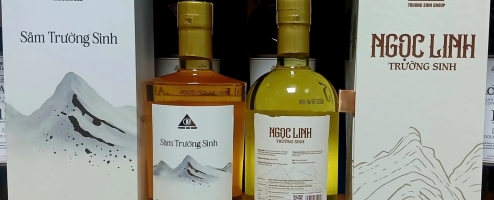 Rượu Sâm Ngọc Linh Trường Sinh Chính Hãng uy tín