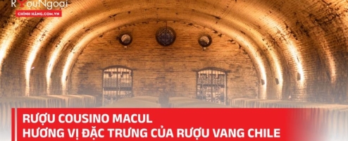 Rượu Cousino Macul hương vị đặc trưng của rượu vang Chile