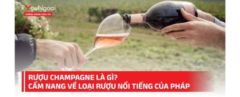 Rượu champagne là gì? Cẩm nang về loại rượu nổi tiếng của Pháp