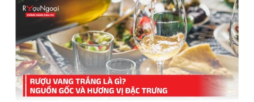 Rượu vang trắng là gì? Nguồn gốc và hương vị đặc trưng