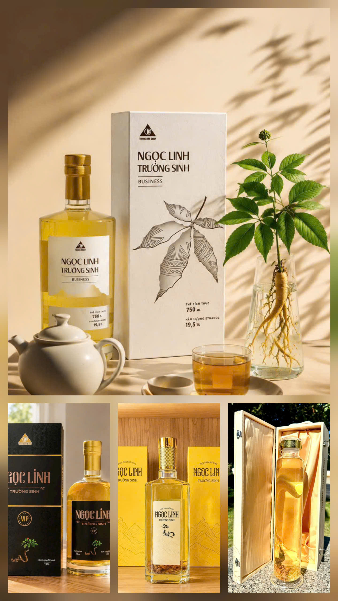 Rượu Sâm Ngọc Linh Trường Sinh