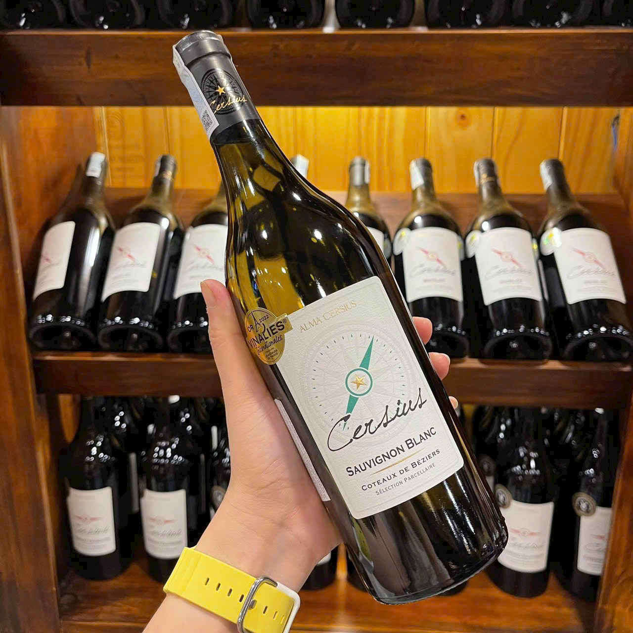 RƯỢU VANG PHÁP CERSIUS SAUVIGNON BLANC