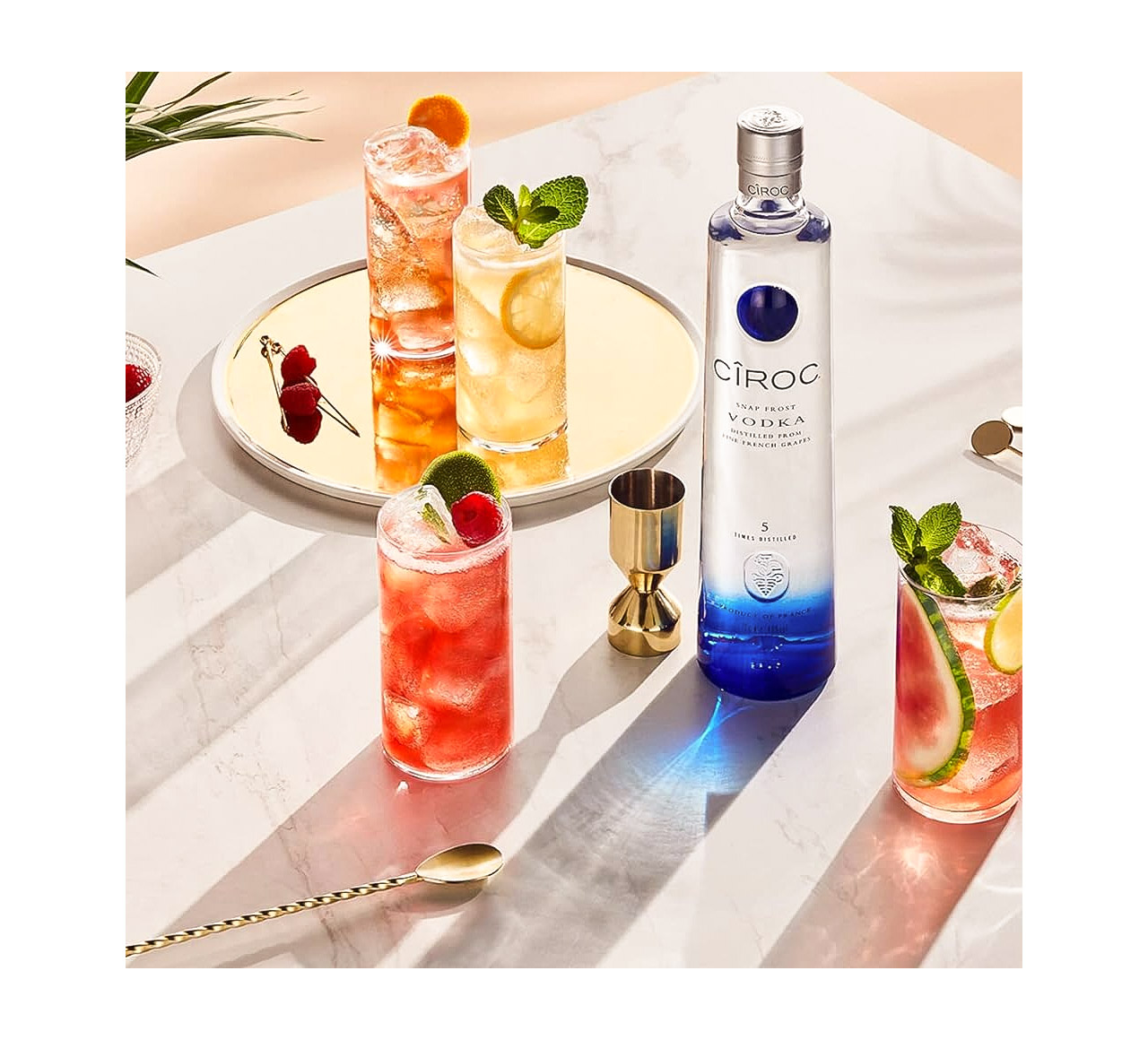 Bí Quyết Chọn Rượu Vodka Cho Người Mới