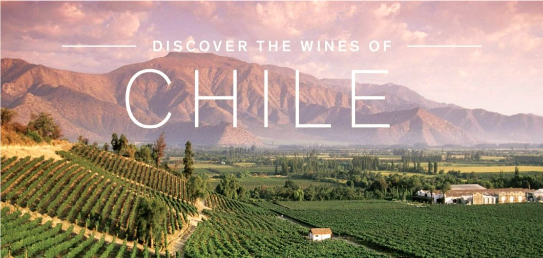 huong-dan-chon-ruou-vang-chile