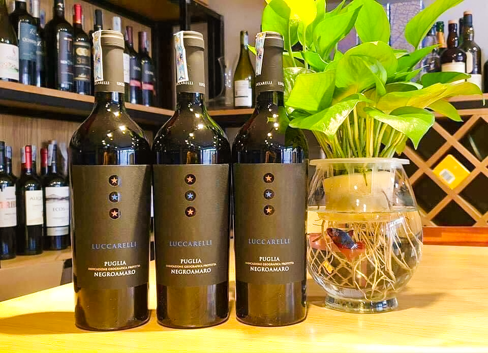 Rượu vang Ý Luccarelli-Negroamaro