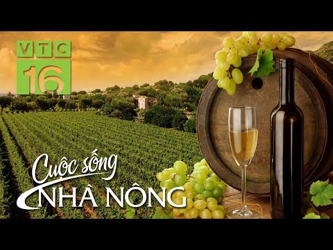  THƯỞNG THỨC CÓ TRÁCH NHIỆM  Các sản phẩm rượu không dành cho người dưới 18 tuổi và phụ nữ đang mang thai. Bạn phải từ 18 tuổi trở lên mới được mua rượu ở Việt Nam.